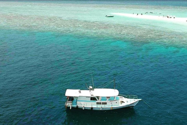 Sandbank, Snorkeling, Dolphin Cruise, Picnic, Local Island Tour